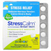 Boiron Stress Calm Meltaway Tablets Stress Relief Unflavored 60 Meltaway Tablets 306969333044