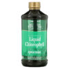Buried Treasure Liquid Chlorophyll Spearmint 16.23 fl oz (480 ml) 16055500198