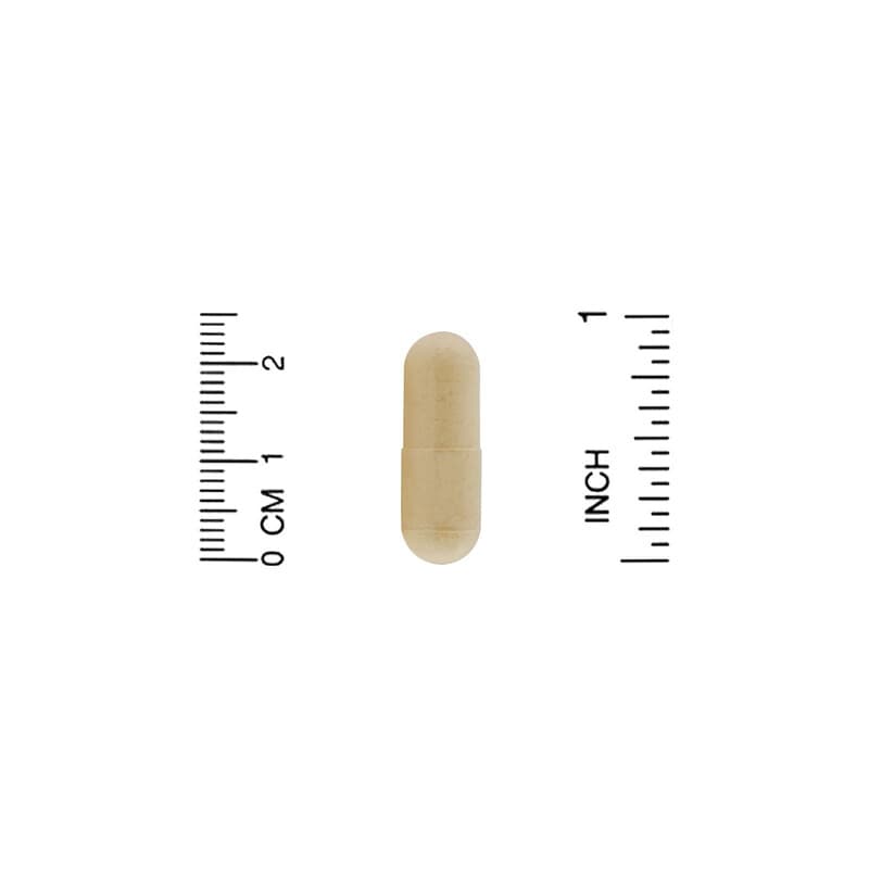 California Gold Nutrition, Full-Spectrum Turkey Tail, 90 Plantcaps 898220012572