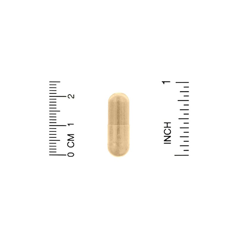 California Gold Nutrition, New Zealand Green-Lipped Mussel Plus Ginger, Joint Health Formula, 500 mg, 240 Veggie Capsules 898220009428