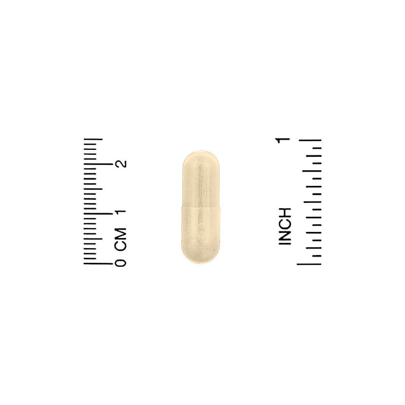 California Gold Nutrition, Olive Leaf Extract, EuroHerbs, European Quality, 500 mg, 60 Veggie Capsules 898220011131