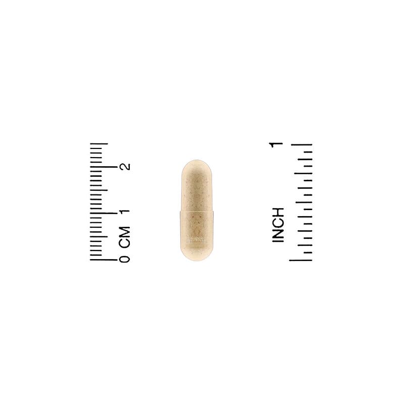 California Gold Nutrition, Proteolytic Enzymes, 90 Delayed Release Veggie Capsules 898220011544