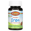 Carlson Kid's Chewable Iron Natural Strawberry 15 mg 60 Tablets 88395559402