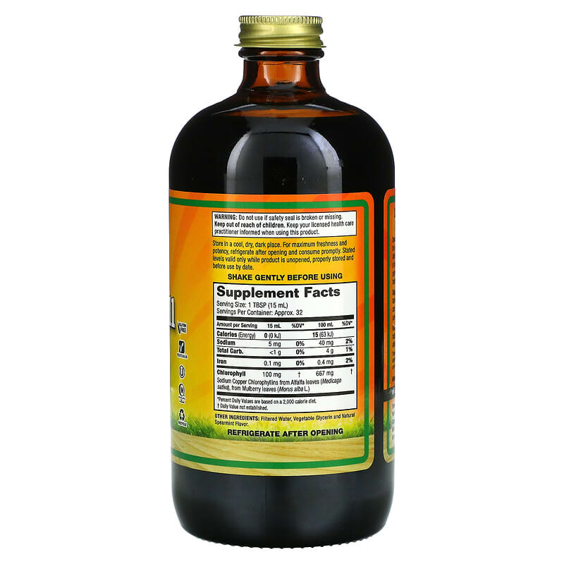 Dynamic Health, Liquid Chlorophyll, Natural Spearmint, 100 mg, 16 fl oz (473 ml) 790223101584