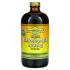 Dynamic Health Liquid Chlorophyll Natural Spearmint 100 mg 16 fl oz (473 ml) 790223101584