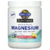 Garden of Life Dr. Formulated Whole Food Magnesium Powder Raspberry Lemon 7 oz (198.4 g) 658010122795