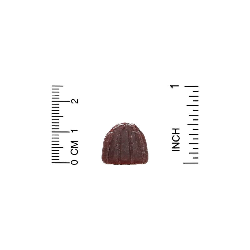 Gummiology, Cranberry & Probiotic Gummies, Cranberry, 90 Vegetarian Gummies 898220020881