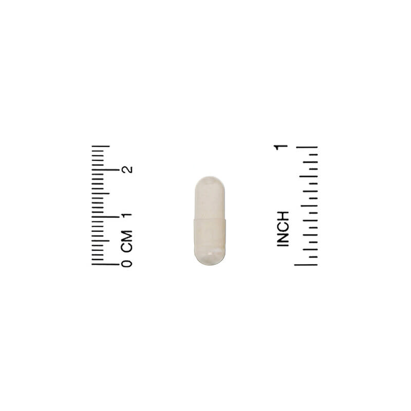 HealthyBiom, Adult Probiotics, 15 Billion CFU, 90 Veggie Capsules 898220015825