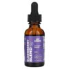JoySpring Elderberry Blend 1 fl oz (30 ml) 850008889011