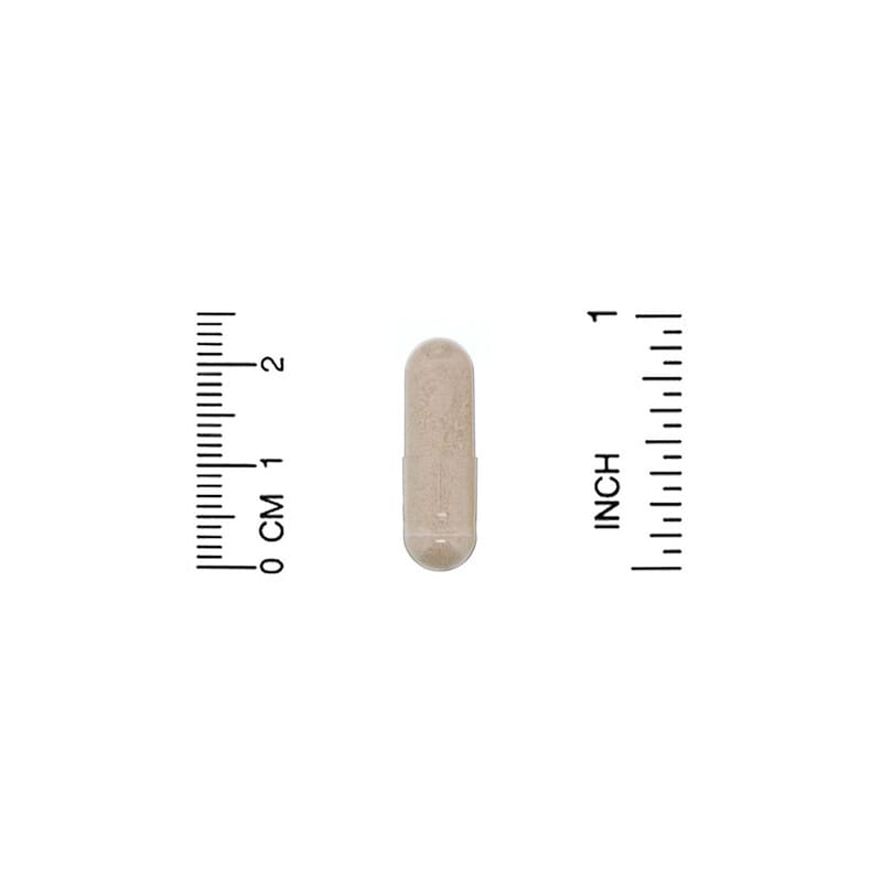 Lake Avenue Nutrition, Saccharomyces Boulardii, Probiotic Yeast, 10 Billion CFU, 60 Veggie Capsules 898220014200