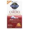 Minami Nutrition Supercritical Cardio Omega-3 Fish Oil Orange  915 mg  60 Softgels 5425018610860