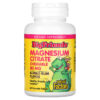 Natural Factors Big Friends Magnesium Citrate Bubble Gum 50 mg 60 Chewable Tablets 68958016481