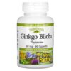 Natural Factors Ginkgo Biloba Phytosome 60 mg 60 Capsules 68958048055