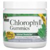 Nature's Answer Chlorophyll Gummies Natural Peppermint 25 mg 60 Pectin Gummies 83000269196