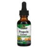 Nature's Answer Propolis Extract Alcohol-Free 2,000 mg 1 fl oz (30 ml) 83000006579