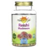 Nature's Herbs Reishi Mushroom 1,200 mg 100 Vegetarian Capsules 41954443789