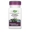 Nature's Way Kidney Bladder 465 mg 100 Vegan Capsules 33674001103