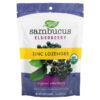 Nature's Way Sambucus Elderberry Zinc Lozenges with Vitamin C Original Elderberry 24 Lozenges 33674102206
