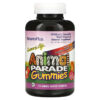 NaturesPlus Source of Life Animal Parade Gummies Children's Chewable Natural Assorted Flavors 75 Animal-Shaped Gummies 97467299610