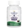 Nordic Naturals Nordic Immune Gummies Elderberry  40 Gummies 768990015144