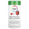Rainbow Light Berry D-Licious Vitamin D3 Raspberry Flavor 2,500 IU 50 Gummies 21888121410
