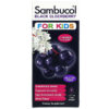 Sambucol Black Elderberry Syrup For Kids Berry Flavor 7.8 fl oz (230 ml) 896116001211