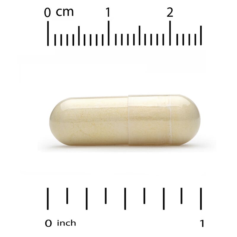 Super Nutrition, Advanced Liver Support, 90 Veggie Capsules 33739001253