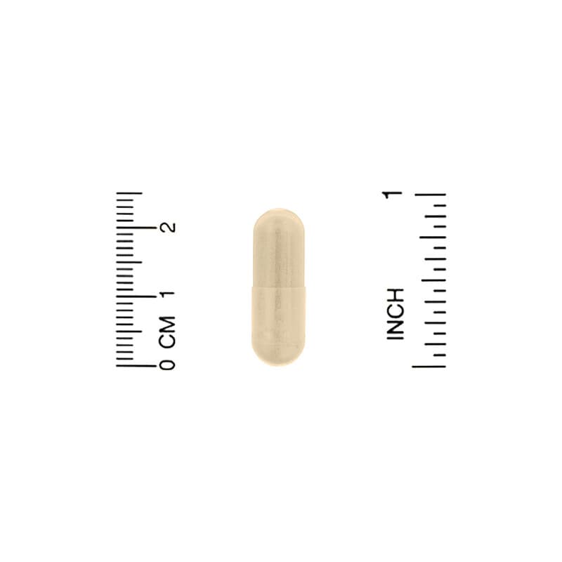 Super Nutrition, Simply One, Complete Enzymes, 90 Capsules 33739001246