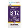 Superior Source Activated B-12 Methylcobalamin B-6 (P-5-P) & Methylfolate 60 MicroLingual Instant Dissolve Tablets 76635904709