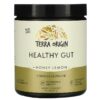 Terra Origin Healthy Gut Honey Lemon 8.16 oz (232 g) 857668007311