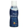 Trace Minerals ® Ionic Plant Minerals Tangerine  17 fl oz (503 ml) 878941003424