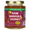 Y.S. Eco Bee Farms Raw Manuka Honey Active 15+ 12 oz (340 g) 726635121148