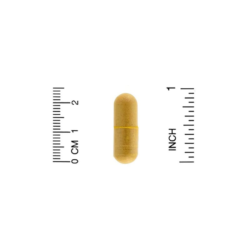 ZOI Research, Stress Support, 60 Vegetarian Capsules 898220016044
